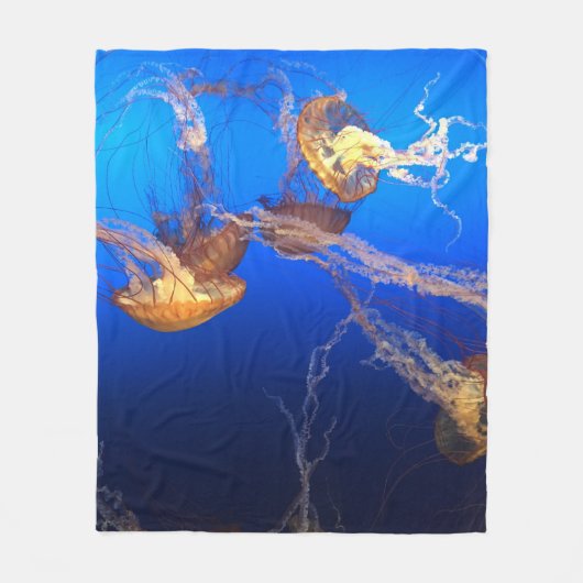 Schöne Seascape Fleecedecke (Vorderseite)