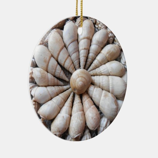 Schöne Seashell-Rundschreiben-Verzierung Keramik Ornament (Rechts)
