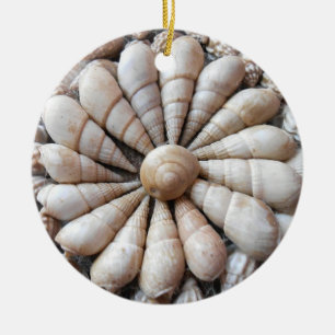 Schöne Seashell-Rundschreiben-Verzierung Keramik Ornament