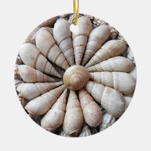 Schöne Seashell-Rundschreiben-Verzierung Keramik Ornament (Vorne)