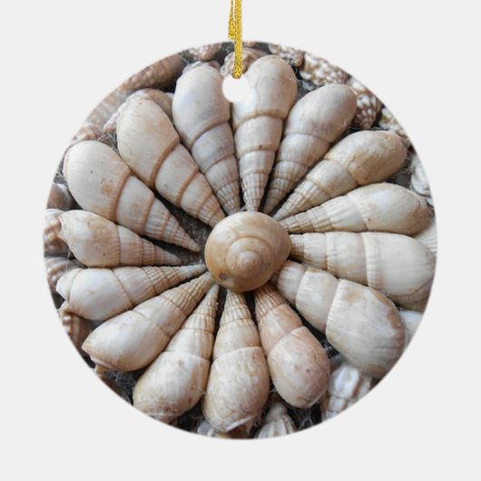 Schöne Seashell-Rundschreiben-Verzierung Keramik Ornament (Hinten)