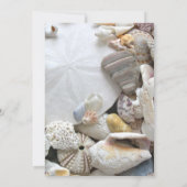 Schöne Seashells Geburtstagsparty Einladung (Rückseite)