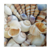 Schöne Seashells, Sommer, Strand, Muscheln Fliese (Vorderseite)