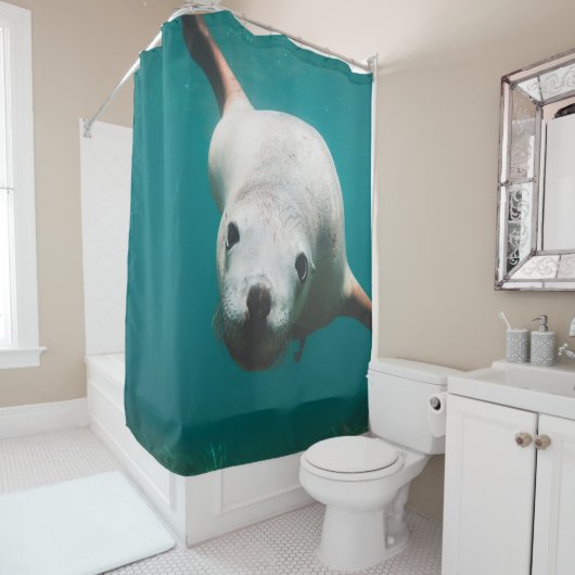 Schöne Seelöwe Duschvorhang (Beispiel)