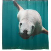 Schöne Seelöwe Duschvorhang (Vorderseite)
