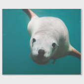 Schöne Seelöwe Geschenkpapier (Flach)