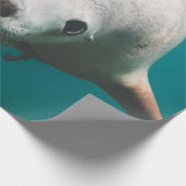 Schöne Seelöwe Geschenkpapier (Ecke)