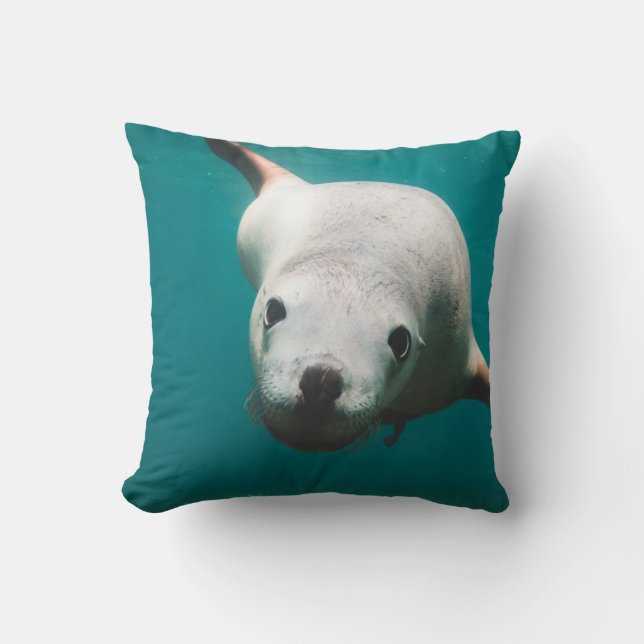 Schöne Seelöwe Kissen (Vorderseite)