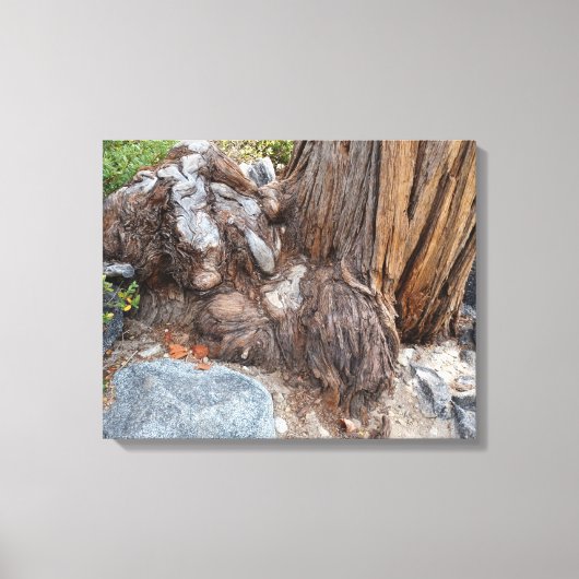 Schöne Seenlandschaft Tahoe Leinwanddruck (Vorderseite)