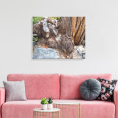 Schöne Seenlandschaft Tahoe Leinwanddruck (Insitu (Wohnzimmer))