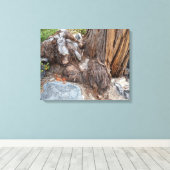 Schöne Seenlandschaft Tahoe Leinwanddruck (Insitu (Holzboden))