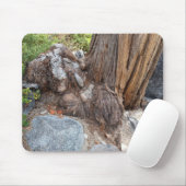 Schöne Seenlandschaft Tahoe Mousepad (Mit Mouse)