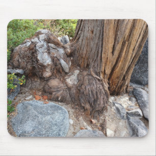 Schöne Seenlandschaft Tahoe Mousepad