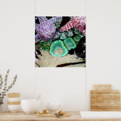 Schöne Seestern und grüne Anemonen Fotografie Poster (Küche)