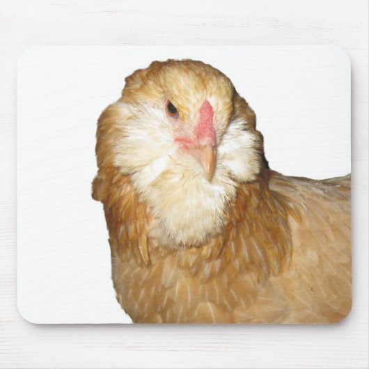 Schöne seltene Wheaten Ameraucana Henne-Hühner Mousepad (Vorne)