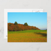 Schöne seltsame goldene Bäume Postkarte (Vorne/Hinten)