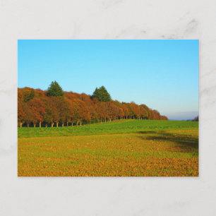 Schöne seltsame goldene Bäume Postkarte