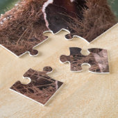 Schöne Senegal-Taube auf einem Baumstumpf Puzzle (Seite)