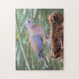 Schöne Senegal-Taube auf einem Baumstumpf Puzzle