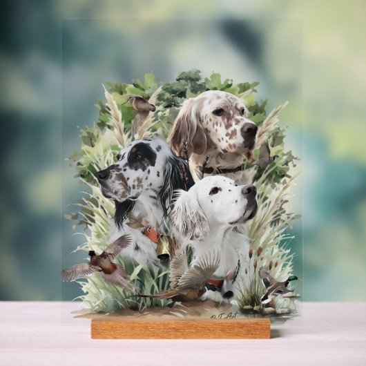 Schöne Setter Acrylschild (Neutral)