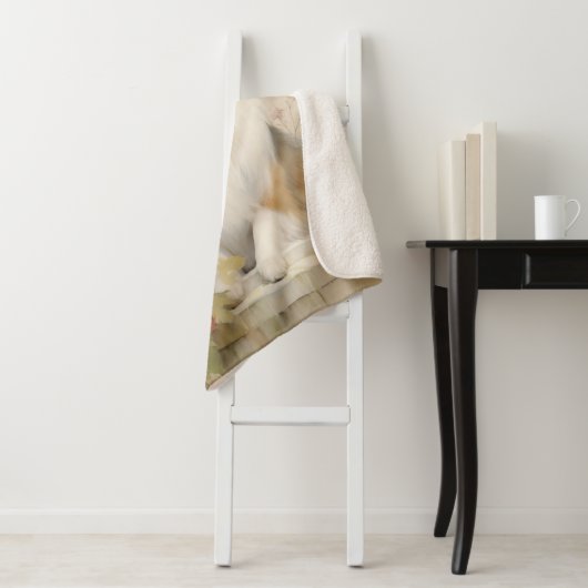 Schöne Sheltie Sherpadecke (Beispiel)