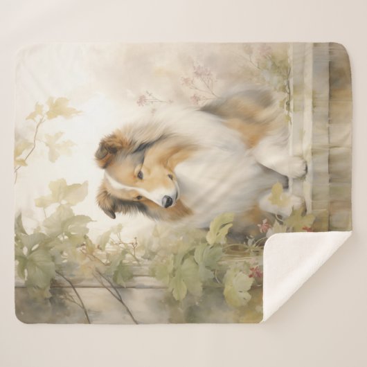 Schöne Sheltie Sherpadecke (Vorderseite (Horizontal))