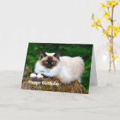 Schöne Siam Cat Foto Geburtstagskarte Karte (Gelbe Blume)