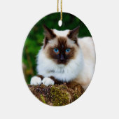 Schöne Siam Kat Foto Keramik Ornament (Rechts)