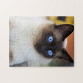 Schöne Siamese Cat Kitten Puzzle (Horizontal)