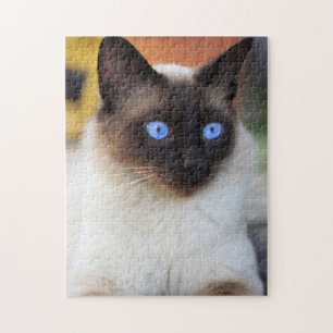 Schöne Siamese Cat Kitten Puzzle