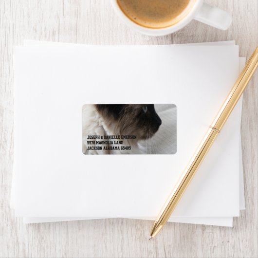 Schöne Siamese Kitty Adressaufkleber (Insitu)