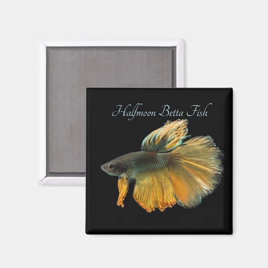 Schöne siamesische Kämpfe Fisch Betta Halfmoon Magnet (Vorderseite/Rückseite)
