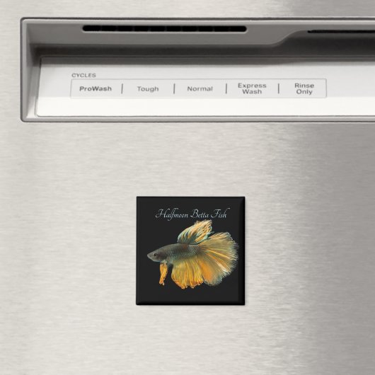 Schöne siamesische Kämpfe Fisch Betta Halfmoon Magnet (In Situ (Geschirrspüler))