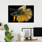 Schöne siamesische Kämpfe Fisch Betta Halfmoon Poster (Heimbüro)