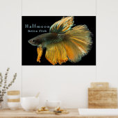 Schöne siamesische Kämpfe Fisch Betta Halfmoon Poster (Küche)