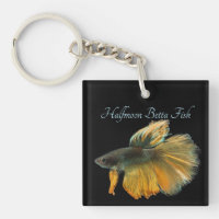 Schöne siamesische Kämpfe Fisch Betta Halfmoon