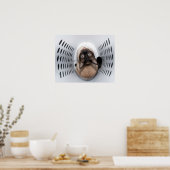 Schöne siamesische Katze, die aus einem Hampel auf Poster (Küche)