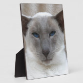 Schöne siamesische Katze Fotoplatte (Seite)