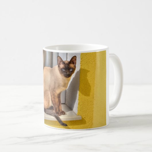 Schöne siamesische Katze Kaffeetasse (VorderseiteRechts)