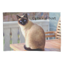 Schöne siamesische Katze mit blauen Augen