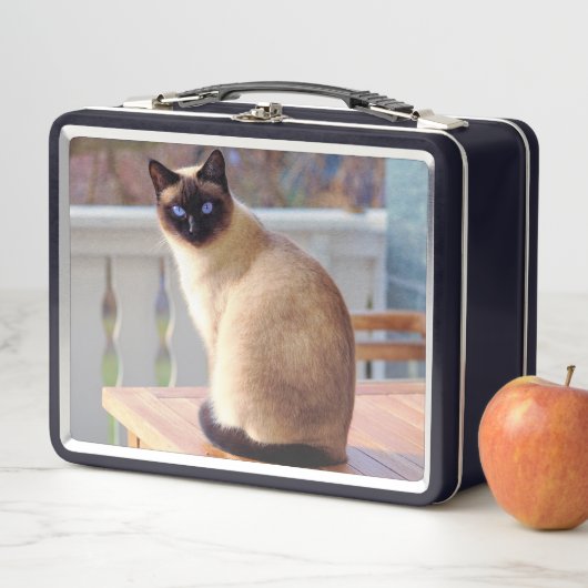 Schöne siamesische Katze mit blauen Augen Metall Brotdose (Beispiel)