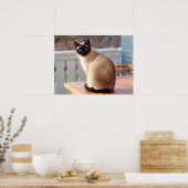 Schöne siamesische Katze mit blauen Augen Poster (Küche)