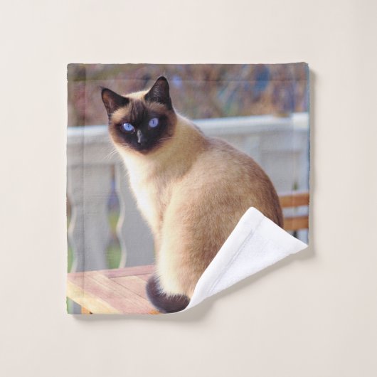 Schöne siamesische Katze mit blauen Augen Waschlappen (Waschlappen)
