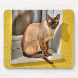 Schöne siamesische Katze Mousepad