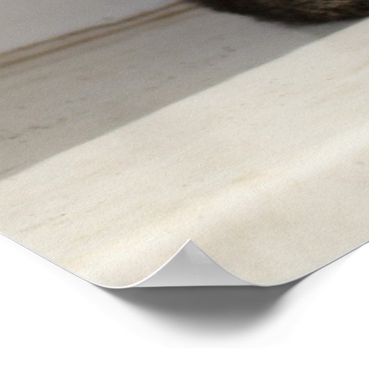 Schöne siamesische Katze Poster (Ecke)