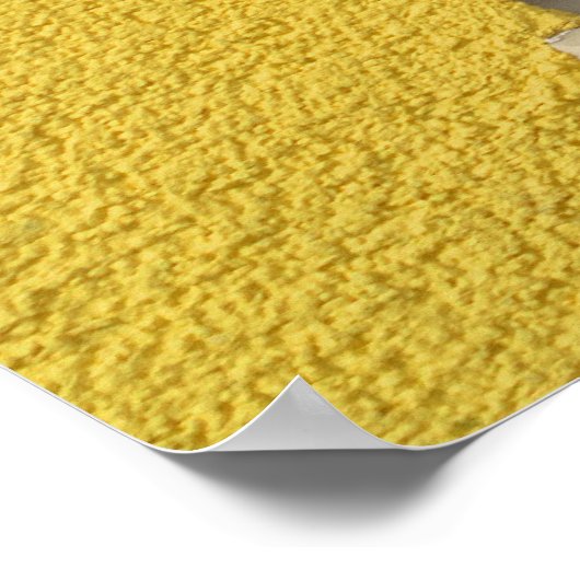 Schöne siamesische Katze Poster (Ecke)