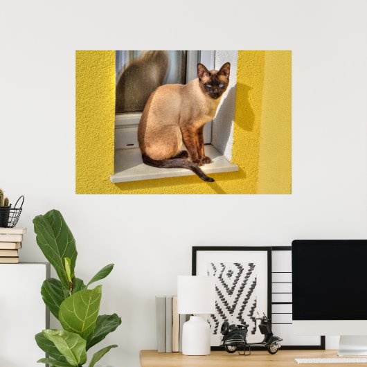 Schöne siamesische Katze Poster (Heimbüro)