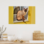 Schöne siamesische Katze Poster (Küche)