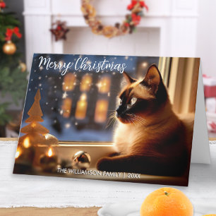 Schöne Siamkatze am Fenster Festliche Weihnachten
