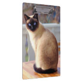 Schöne Siamkatze mit blauen Augen Klemmbrett (Rechts)